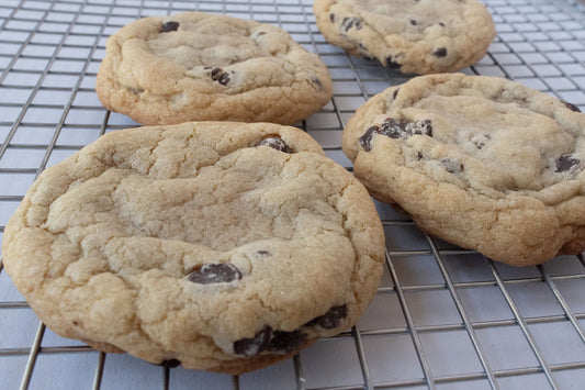 Chocolate Chip